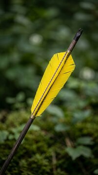 Yellow Fletched Arrow in Forest.