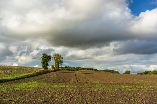 Rolling Agricultural Fields Under Dramatic Fluffy Sky