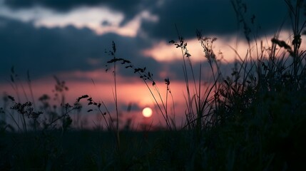 Obraz premium Sunset behind tall grass with dramatic clouds and warm glowing horizon in a serene natural landscape