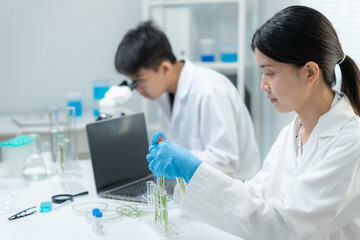 Environmental science, scientists examining plant genetics in test tubes, laboratory testing,...