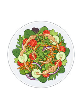 2D vector illustration of a fresh vegetable salad plate with tomatoes, cucumber, greens, seeds, and sesame dressing. PNG isolated on transparent background.