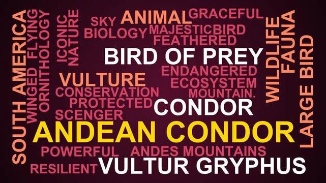 Andean Condor Word Cloud