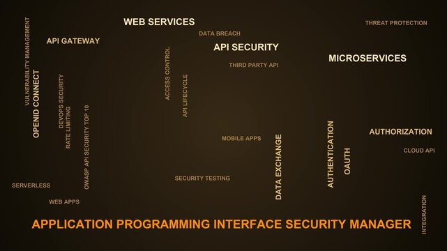 Application Programming Interface Security Manager Word Cloud