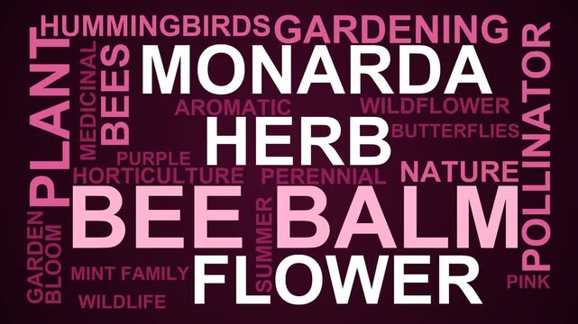 Bee Balm Word Cloud