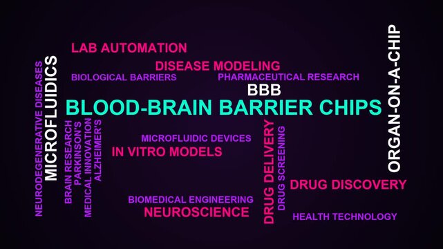 Blood-Brain Barrier Chips Word Cloud
