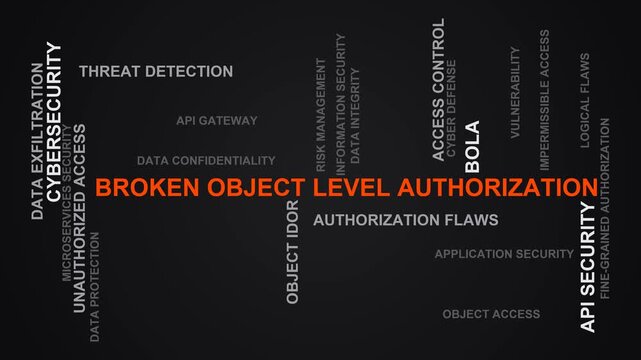 Broken Object Level Authorization Word Cloud