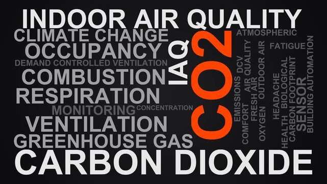 Co2 Word Cloud