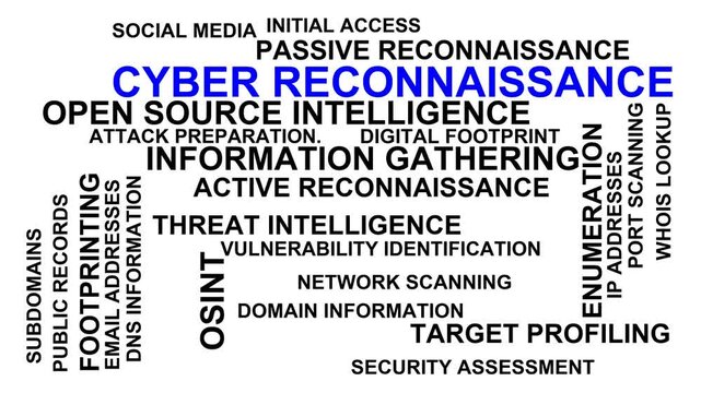 Cyber Reconnaissance Word Cloud