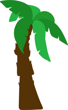 illustration of a palm tree