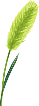 Foxtail, grass, weed, plant, green