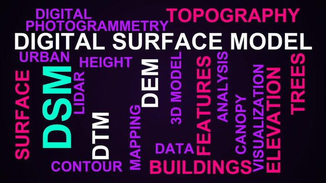 Dsm Word Cloud