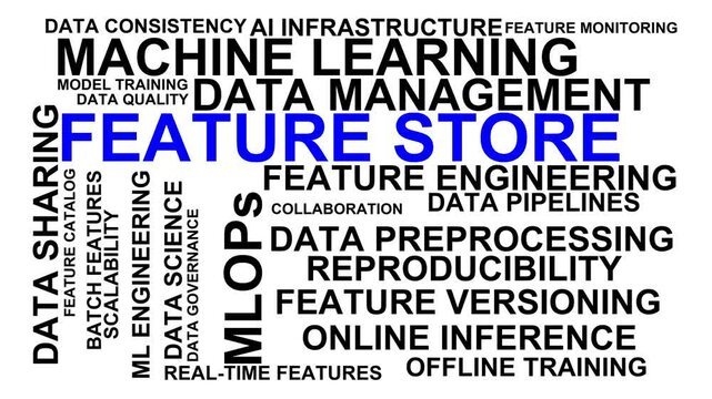 Feature Store Word Cloud