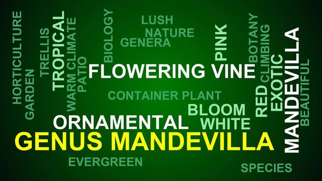 Genus Mandevilla Word Cloud