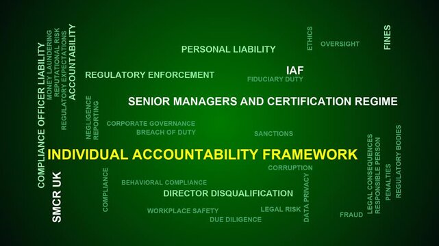 Individual Accountability Framework Word Cloud