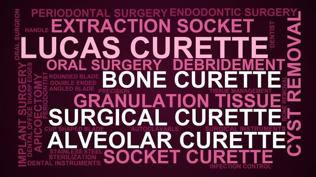 Lucas Curette Word Cloud