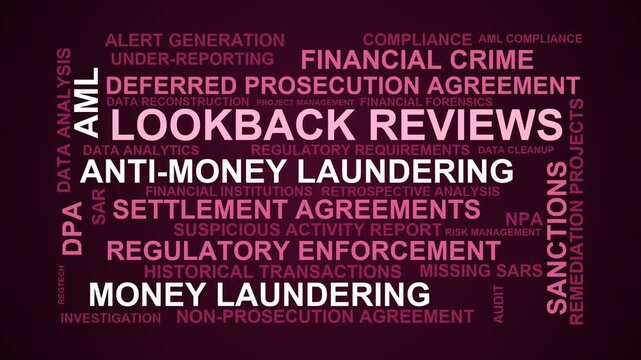 Lookback Reviews Word Cloud