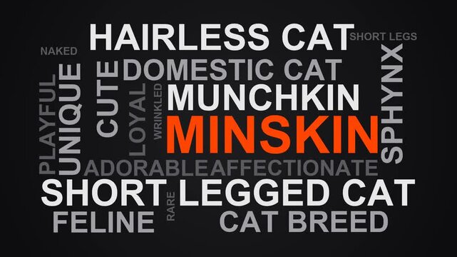 Minskin Word Cloud