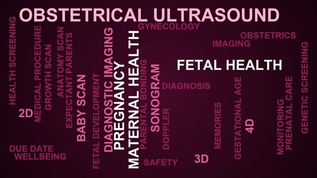 Obstetrical Ultrasound Word Cloud