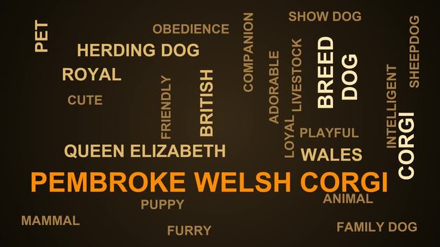 Pembroke Welsh Corgi Word Cloud