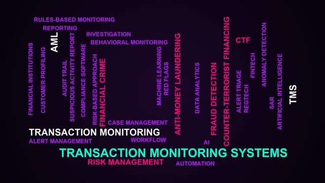 Transaction Monitoring Systems Word Cloud