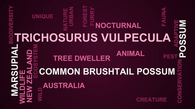 Trichosurus Vulpecula Word Cloud