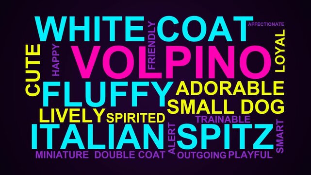 Volpino Word Cloud