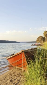 Wooden rowing boat on a sandy shoreline beside tall reeds at a calm lake for summer wallpaper and background design