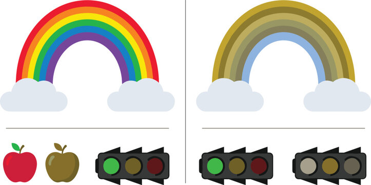 Educational colorblind vector set depicting normal versus color blind perception of rainbow arch apples and traffic signal lights