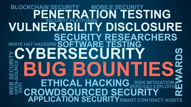 Bug Bounties Word Cloud