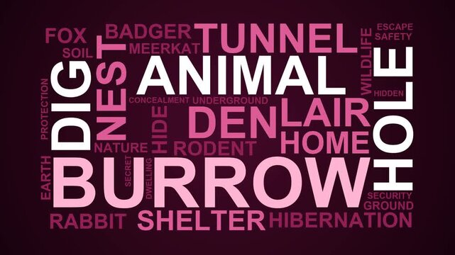Burrow Word Cloud