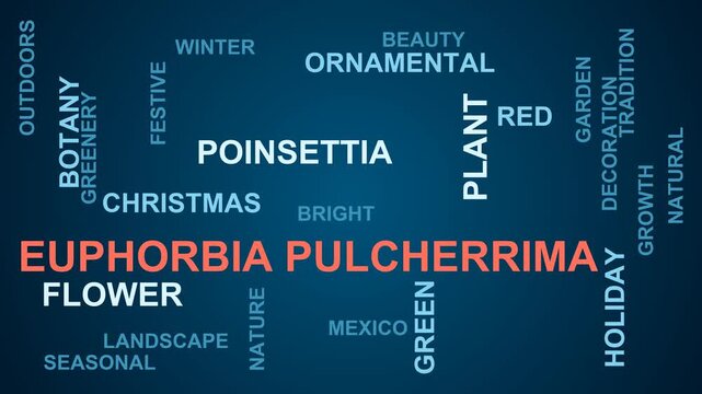 Euphorbia Pulcherrima Word Cloud