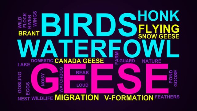 Geese Word Cloud