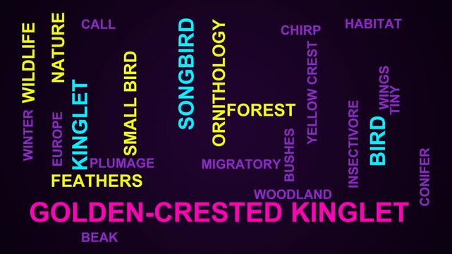 Golden-Crested Kinglet Word Cloud