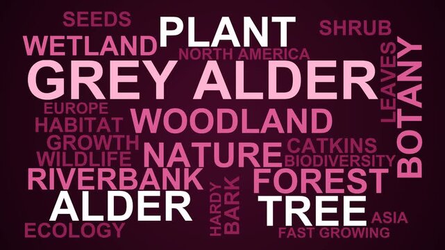 Grey Alder Word Cloud