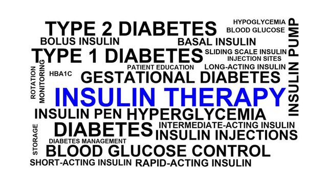 Insulin Therapy Word Cloud