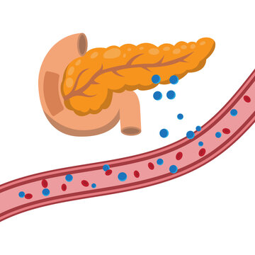 Illustration of World Diabetes Day designation