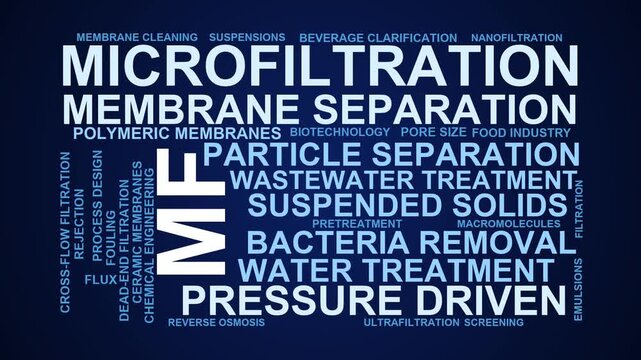 Mf Word Cloud