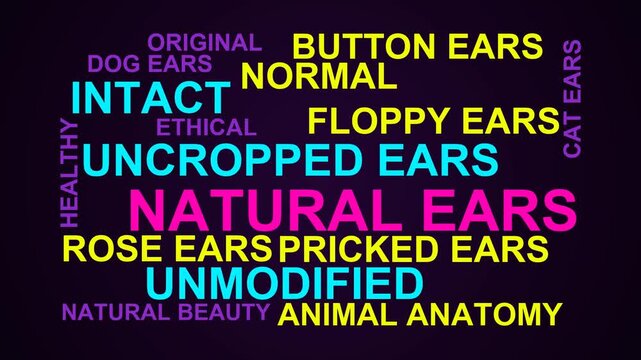 Natural Ears Word Cloud