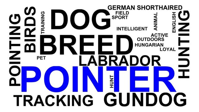 Pointer Word Cloud
