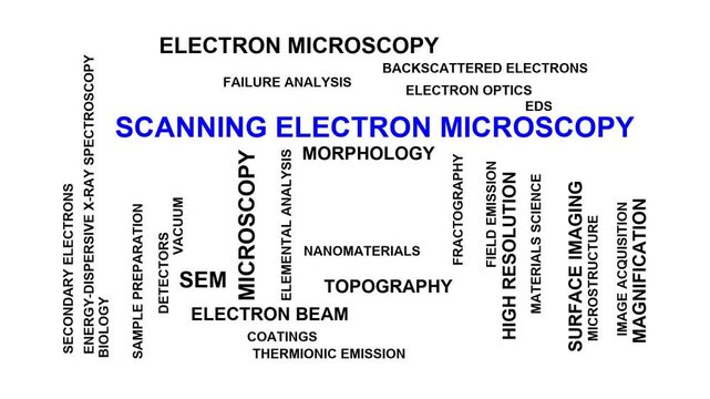 Scanning Electron Microscopy Word Cloud