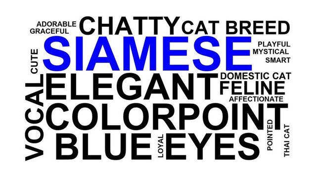 Siamese Word Cloud