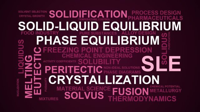 Sle Word Cloud