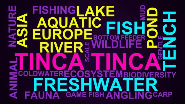 Tinca Tinca Word Cloud