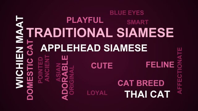Traditional Siamese Word Cloud