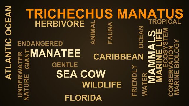 Trichechus Manatus Word Cloud