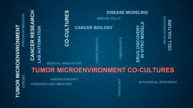 Tumor Microenvironment Co-Cultures Word Cloud