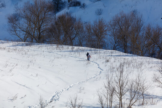 A snow-covered hill with bare trees. Two people walk along a winding path. Footprints mark the way across the white landscape.