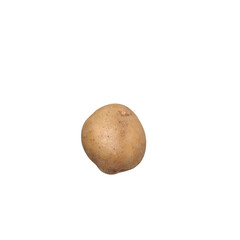 Fototapeta premium Single fresh raw potato isolated on transparent background PNG