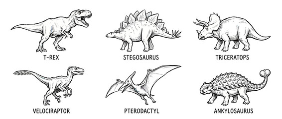 Collection of Dinosaurs and Prehistoric Creatures Illustration © andi