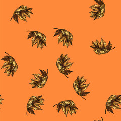 Obraz premium pattern leaves maple leaf hand drawn. vector , red fall leaves maple leaf vector sketch illustration